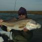 Big Fish0001
