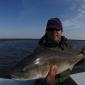 Decent Fish0001