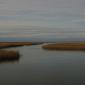 LA Marsh0001